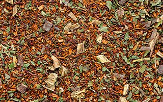 Rooibos Lattes Mint Humbug Rooibos Lattes Mint Humbug